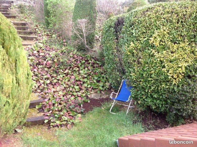 Appartement à louer, 28m², Crémieu