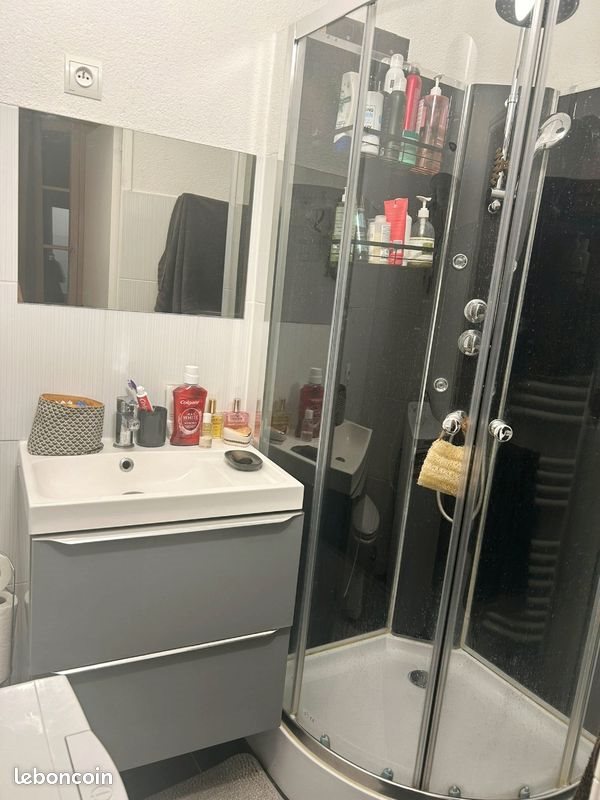 Appartement à louer, 29m², Metz