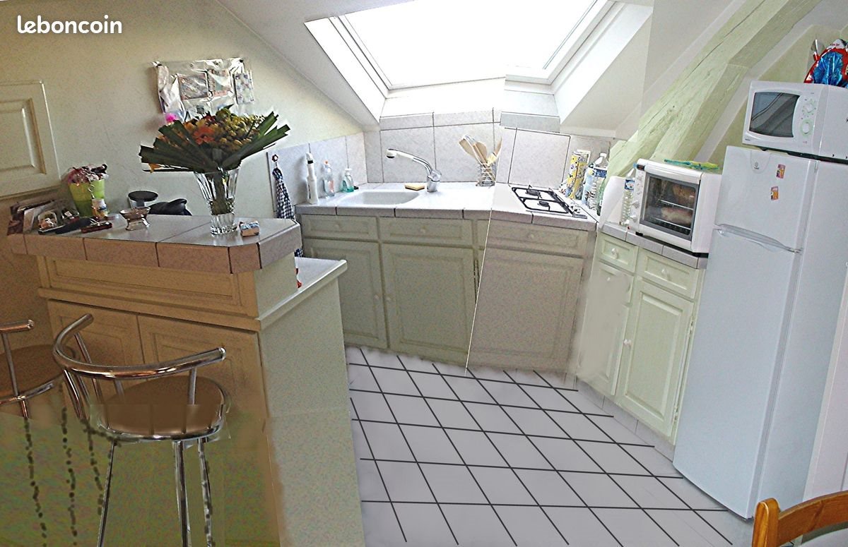 Appartement à louer, 42m², Orléans