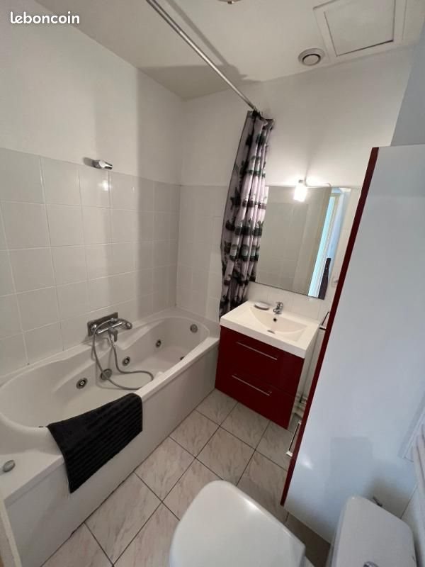 Appartement à louer, 52m², Lille