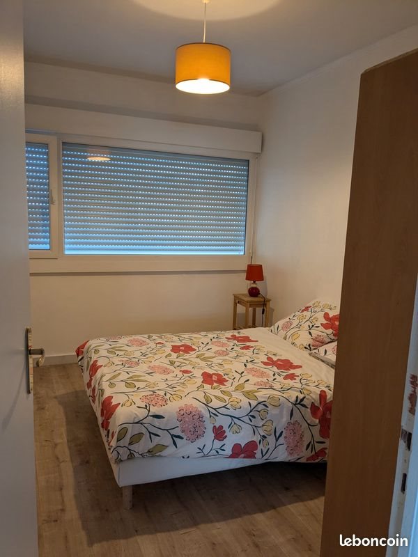 Appartement à louer, 53m², Lille