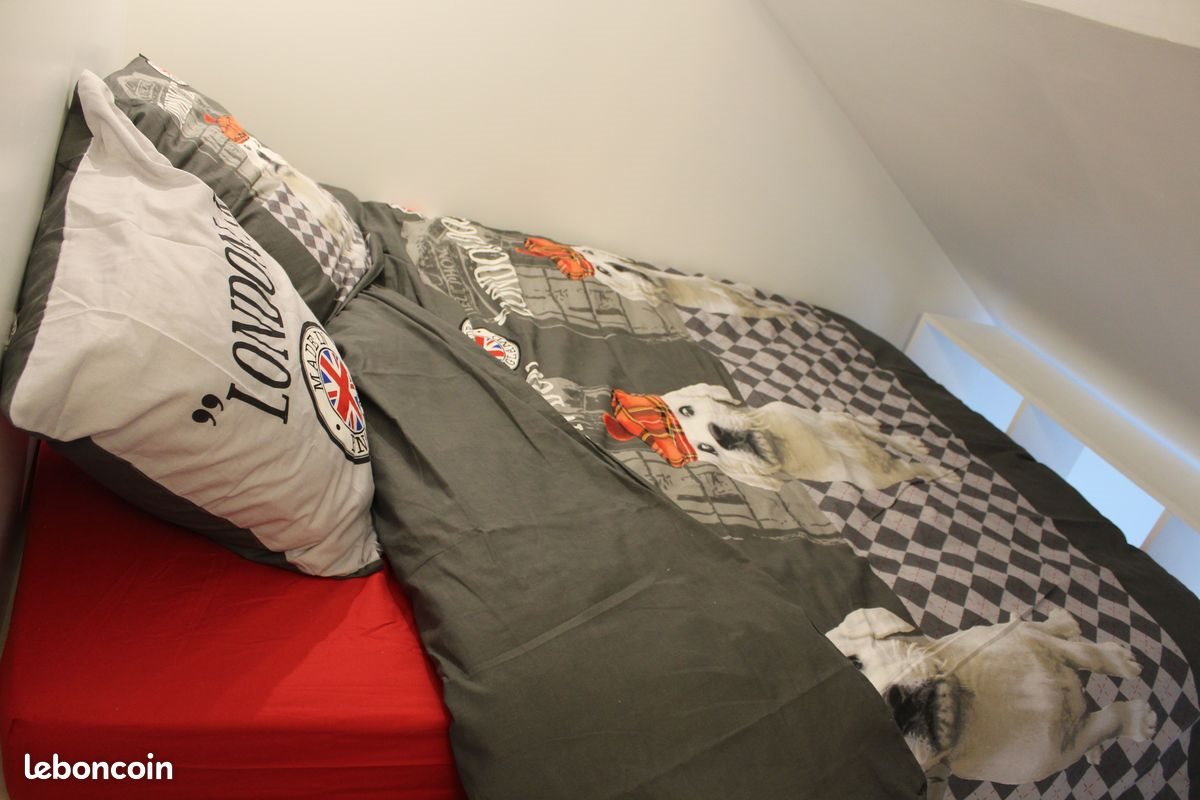 Appartement à louer, 18m², Quimper