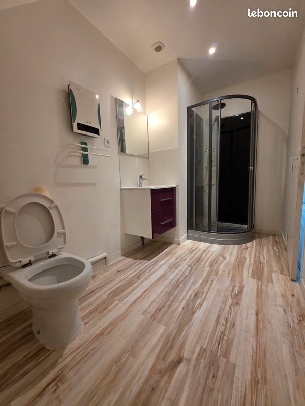 Appartement à louer, 50m², Aixe-sur-Vienne