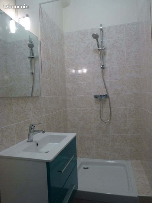 Appartement à louer, 28m², Lyon 7ème