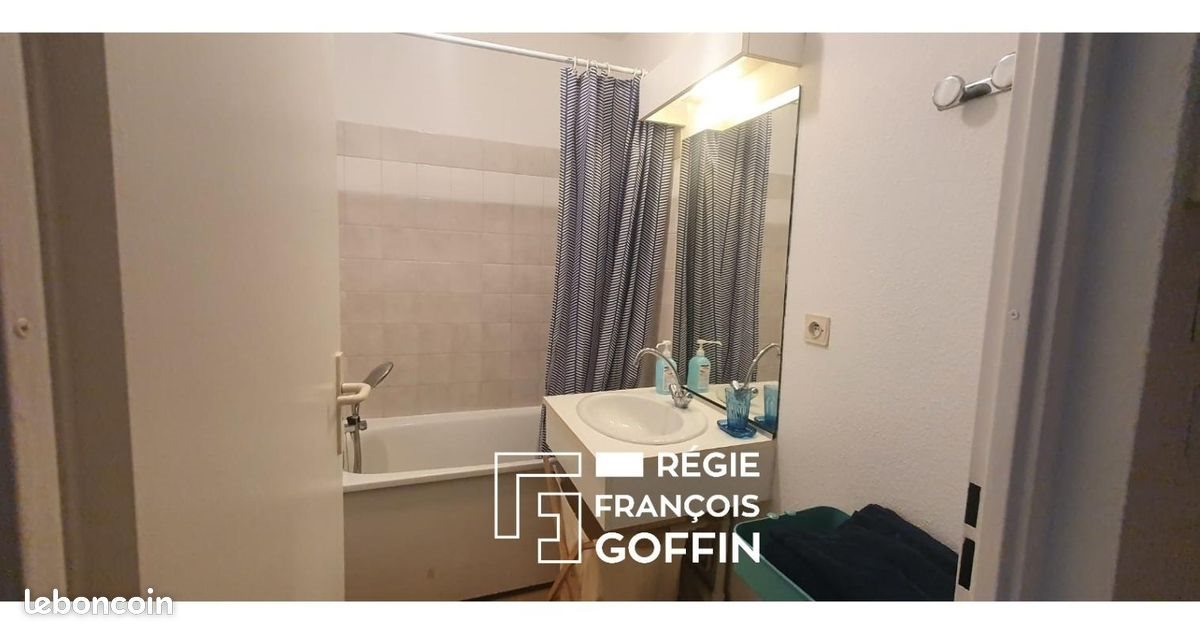 Appartement à louer, 18m², Lyon 8ème