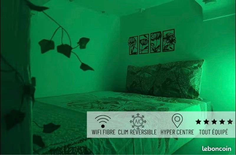 Appartement à louer, 11m², Nice