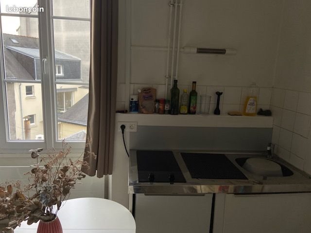 Appartement à louer, 19m², Angers