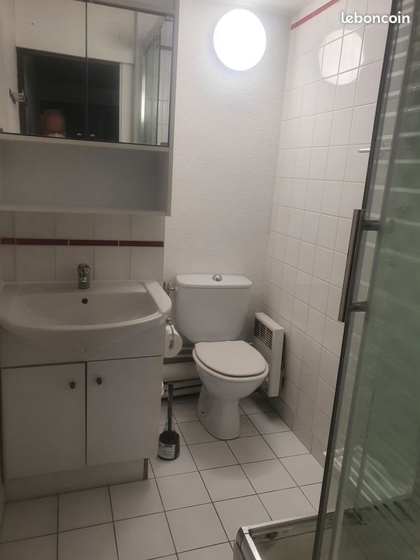 Appartement à louer, 19m², Lille