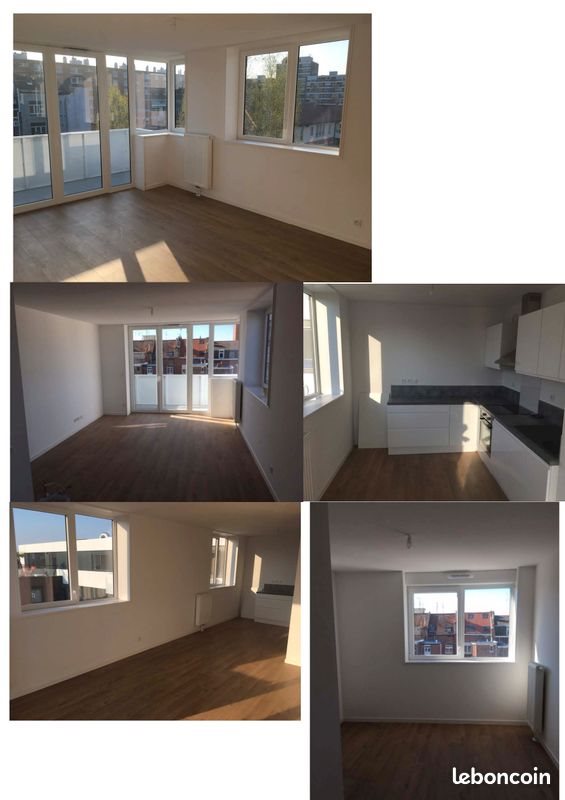 Appartement à louer, 48m², Lille