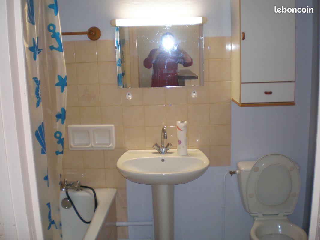 Appartement à louer, 20m², Voiron