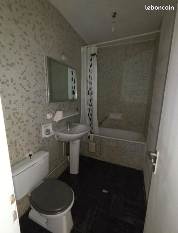 Appartement à louer, 19m², Lille