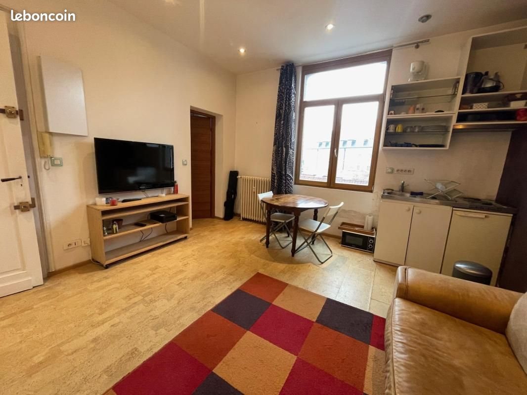 Appartement à vendre, 29m², Lille