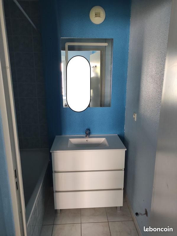 Appartement à louer, 36m², Lyon 8ème