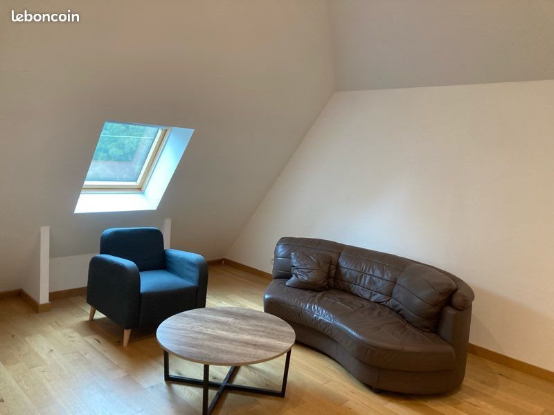 Appartement à louer, 50m², Le Mans