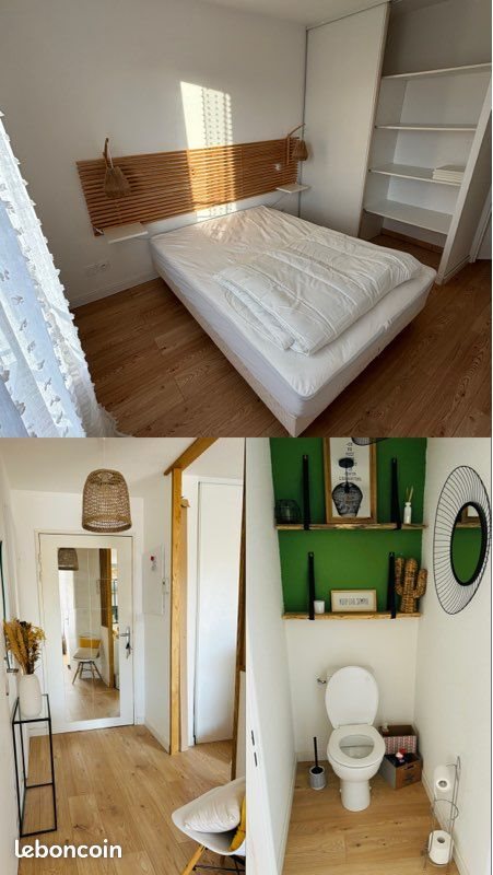 Appartement à louer, 45m², Castelginest