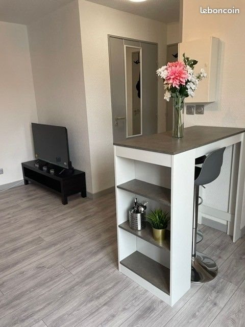 Appartement à louer, 21m², Toulouse