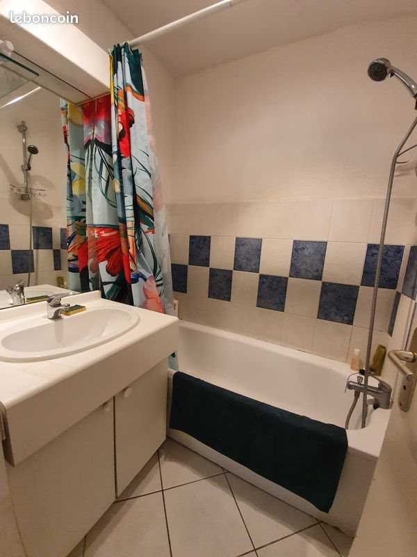 Appartement à louer, 46m², Lille