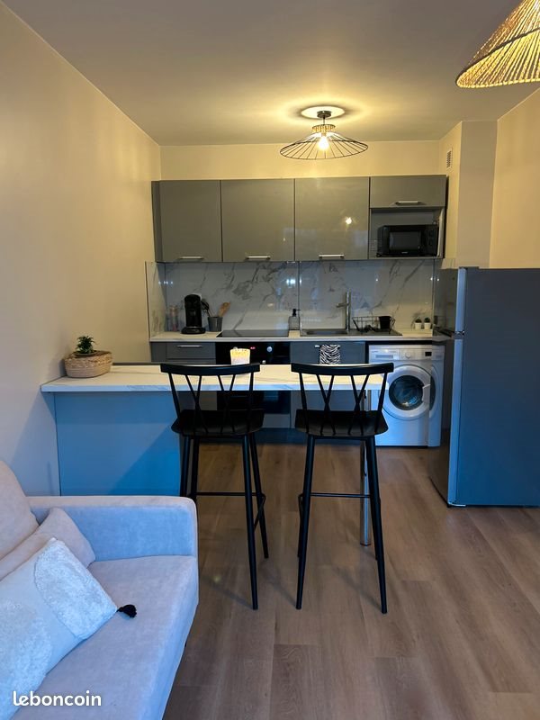 Appartement à louer, 35m², Saint-Etienne