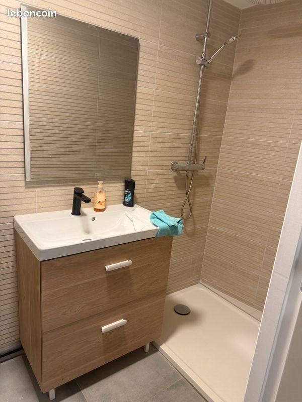 Appartement à louer, 36m², Vernaison