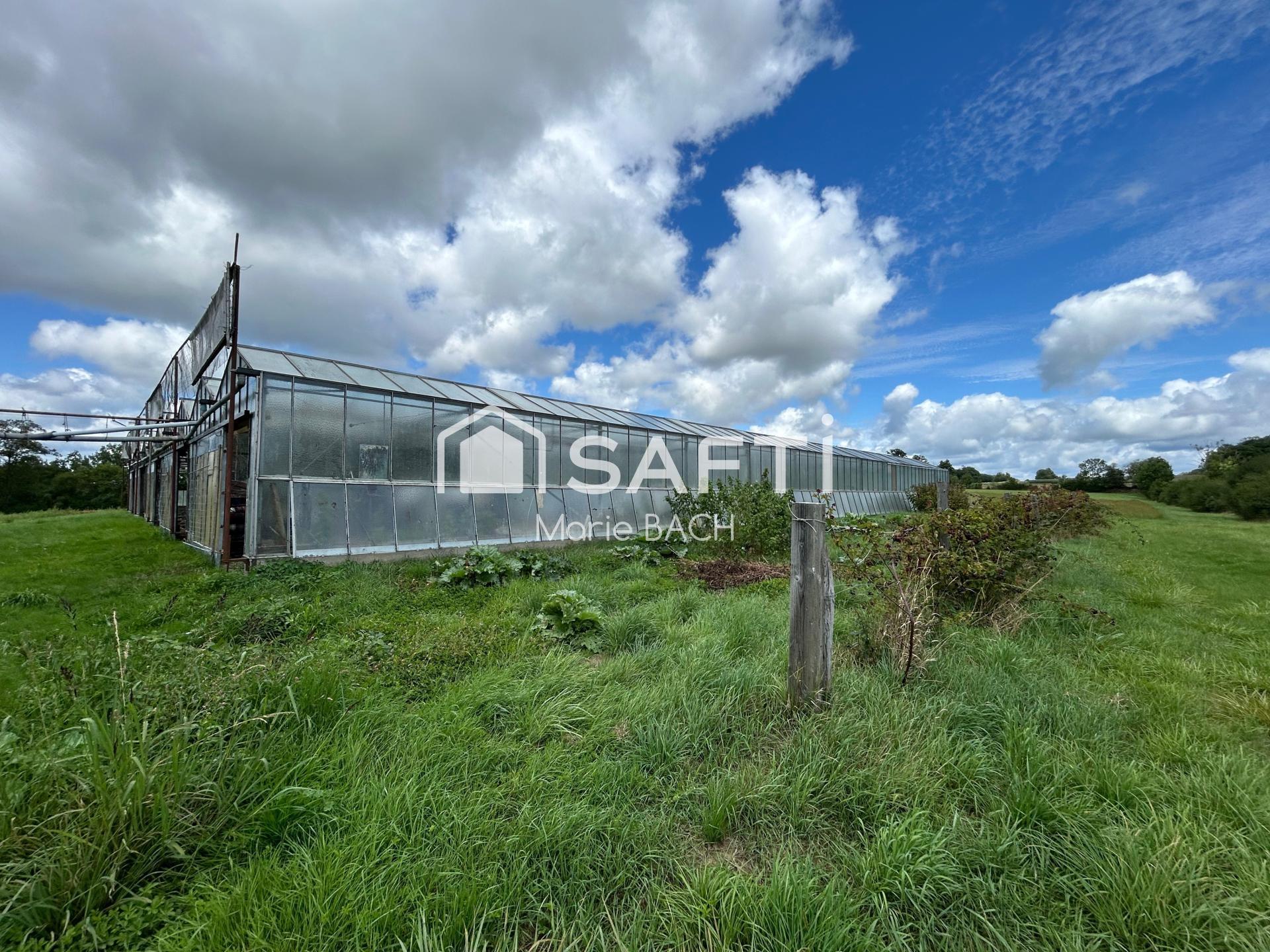 Maison à vendre, 49m², Sarre-Union