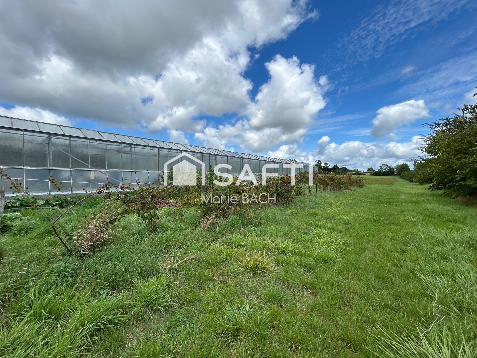 Maison à vendre, 49m², Sarre-Union