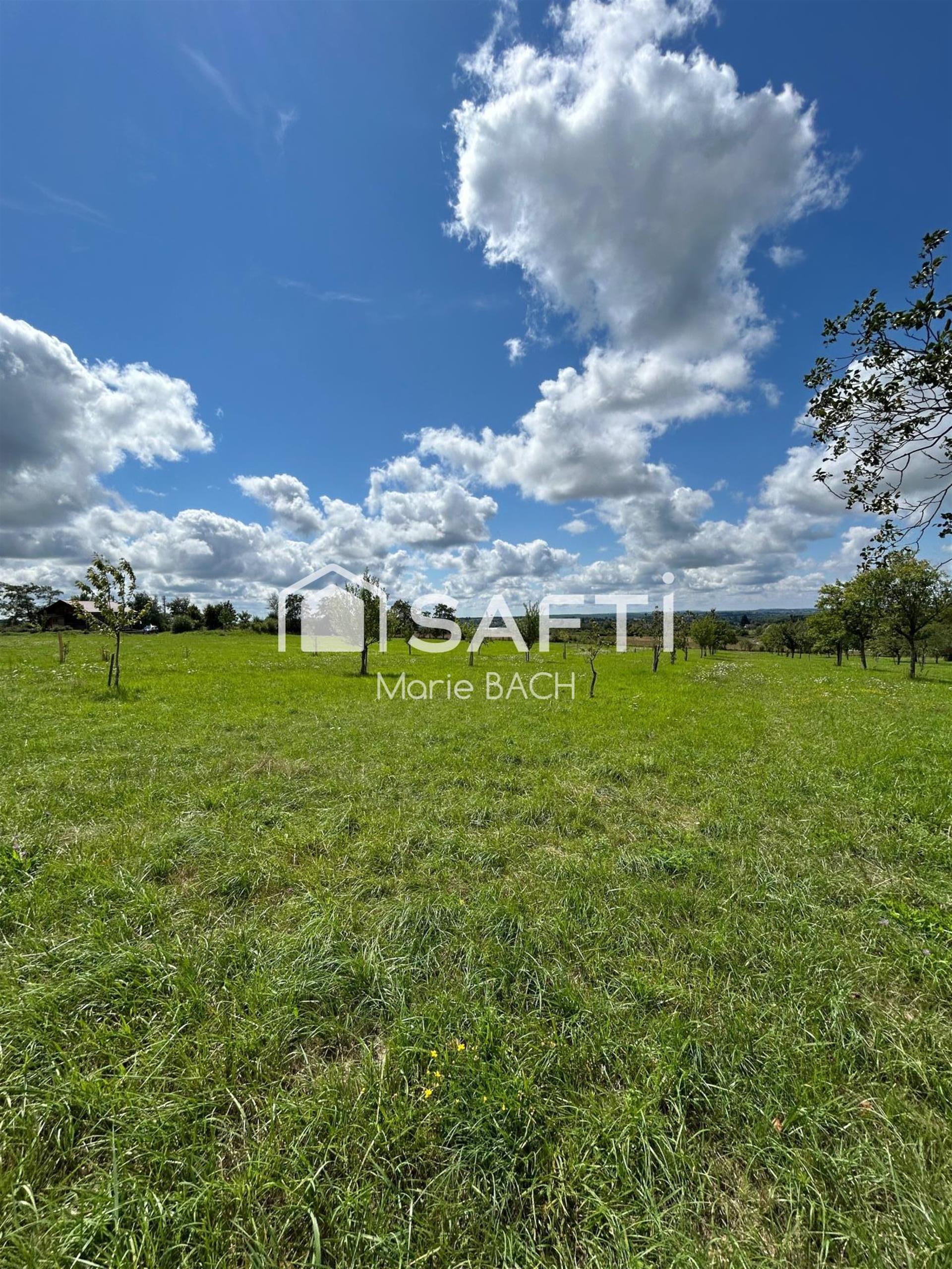 Maison à vendre, 49m², Sarre-Union