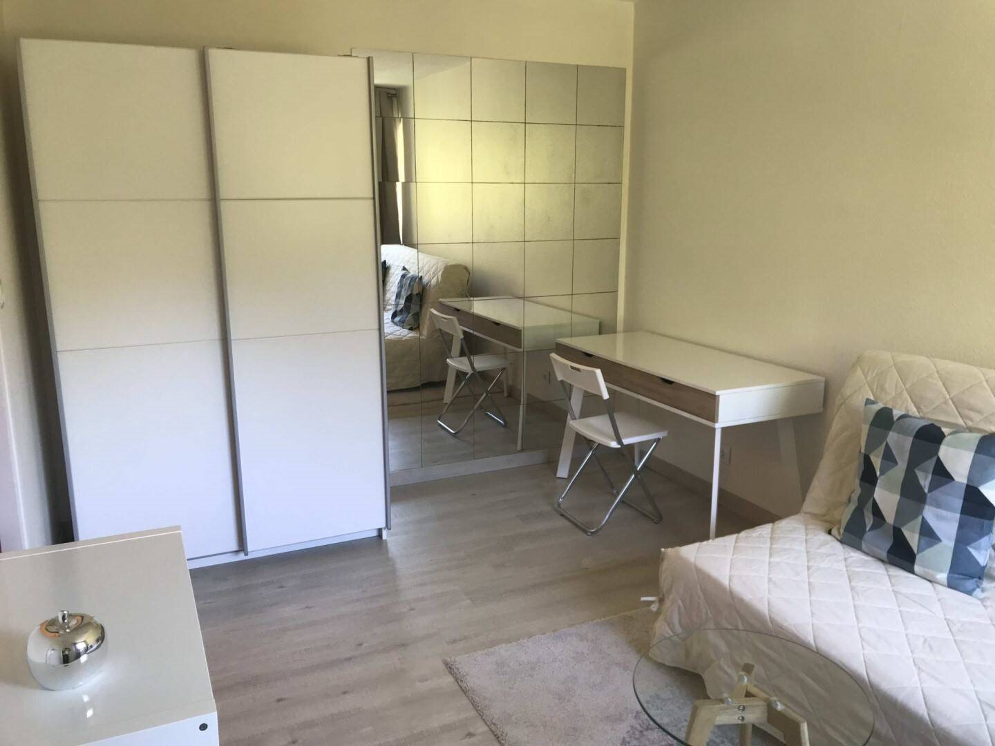 Appartement à louer, 19m², Meylan