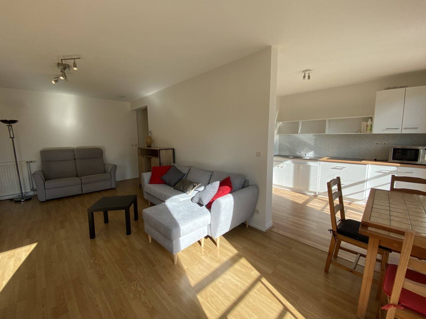 Appartement à louer, 52m², Lyon 3ème