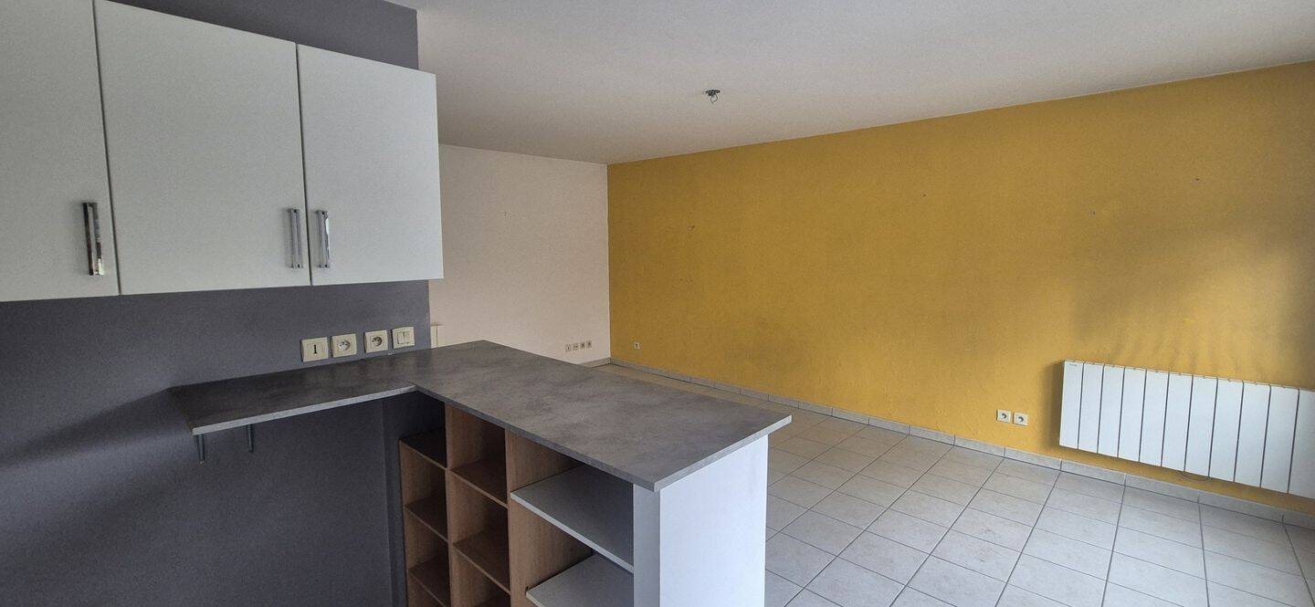 Appartement à louer, 46m², Solaize