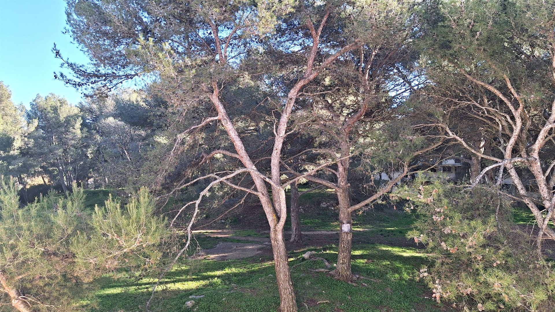 Appartement à vendre, 74m², Les Pennes-Mirabeau