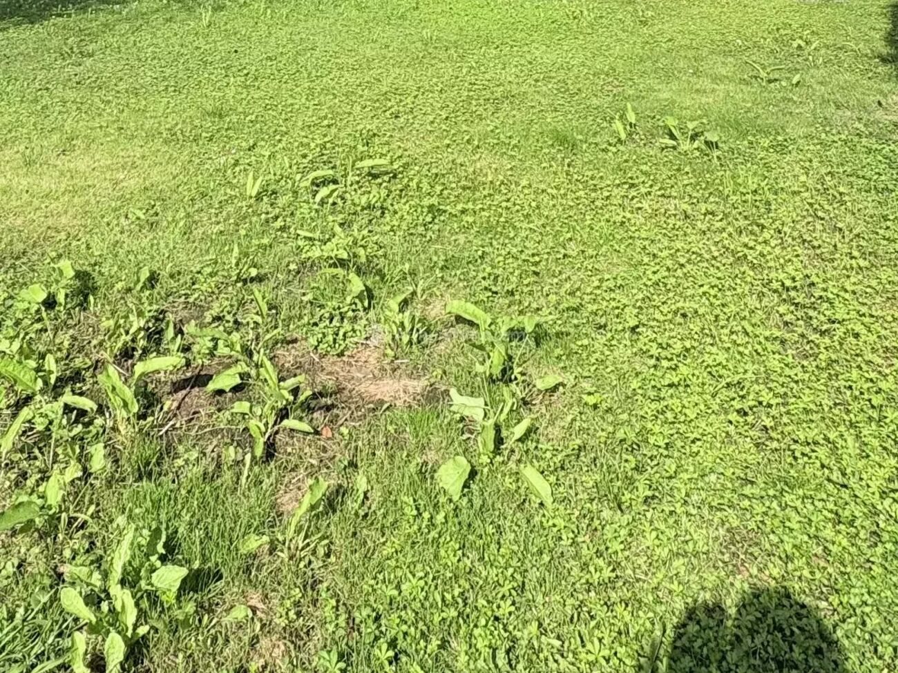 Appartement à vendre, 46m², Saint-Germain-sur-Morin