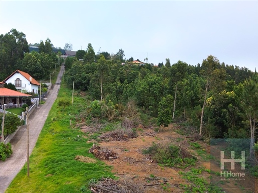 Building land in Santo da Serra 13920m2