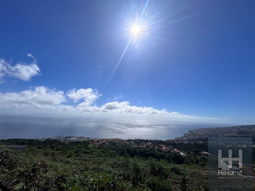 Plots of Land for Construction in Santa Cruz with sea views 5 minutes from the Santo da Serra golf c