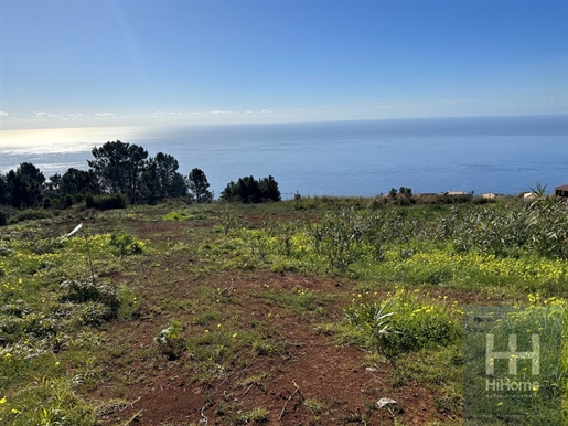 Grundstück mit 2.500 m2 - Prazeres, Calheta, Madeira