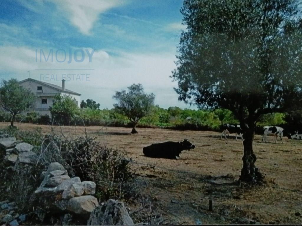 Rustiek land te koop Ade, Guarda