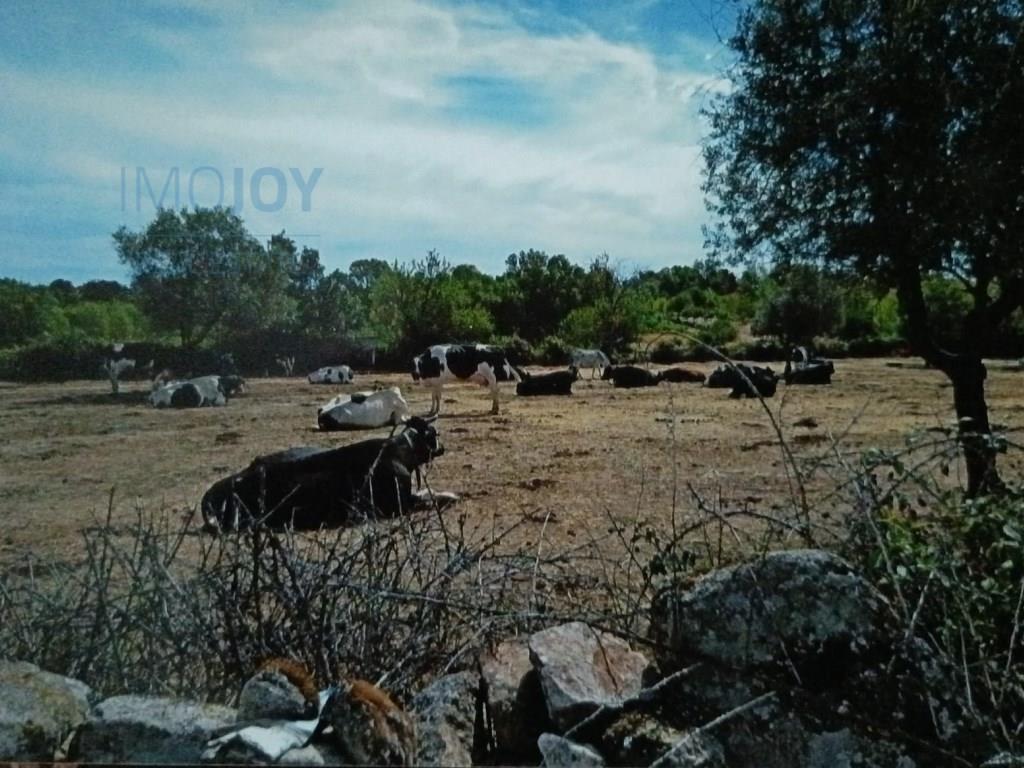 Rustiek land te koop Ade, Guarda