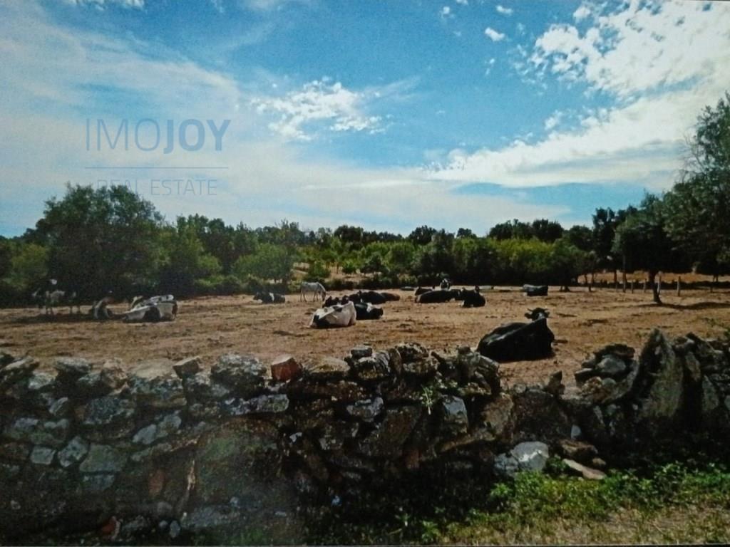 Rustiek land te koop Ade, Guarda