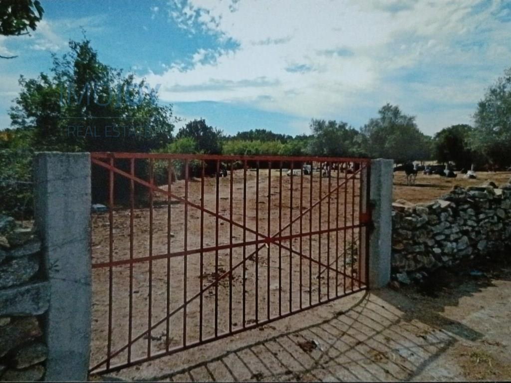 Rustiek land te koop Ade, Guarda