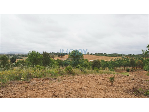 Grond met 3,1ha met haalbaarheid van de bouw Rural Hotel, in Cercal do Alentejo