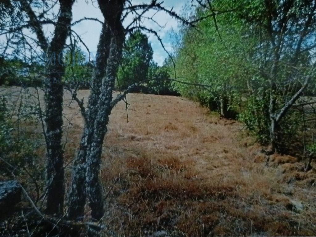 Rustiek land te koop Ade, Guarda