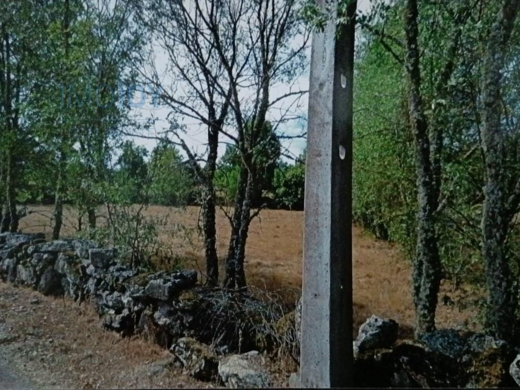 Rustiek land te koop Ade, Guarda