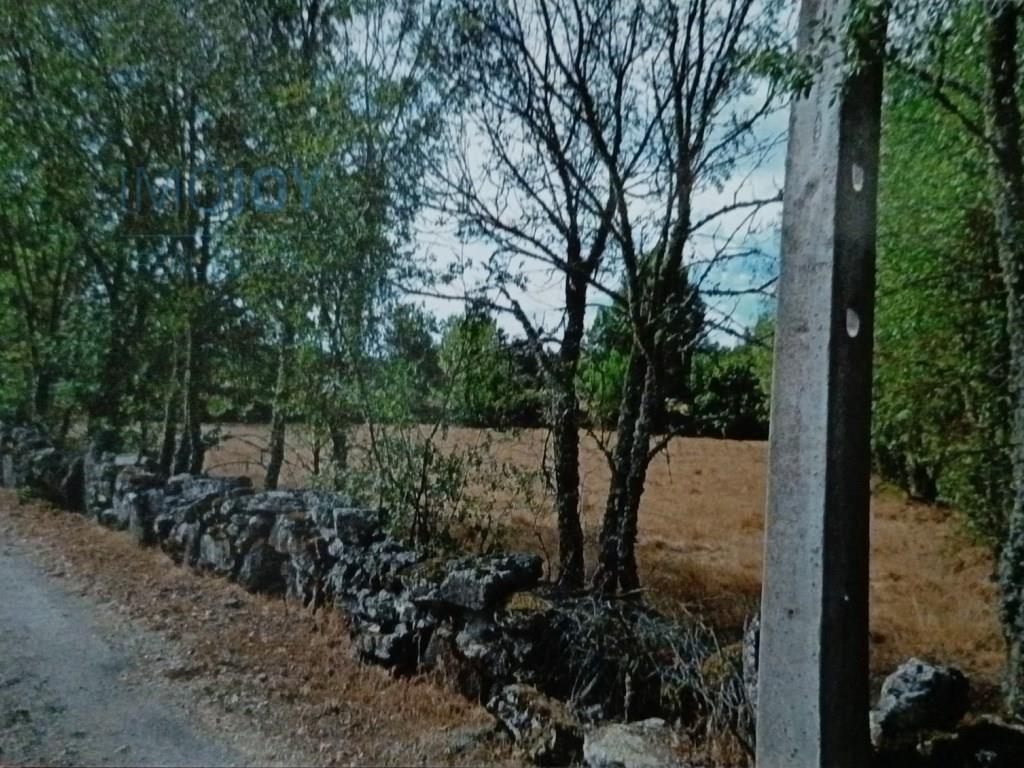 Rustiek land te koop Ade, Guarda