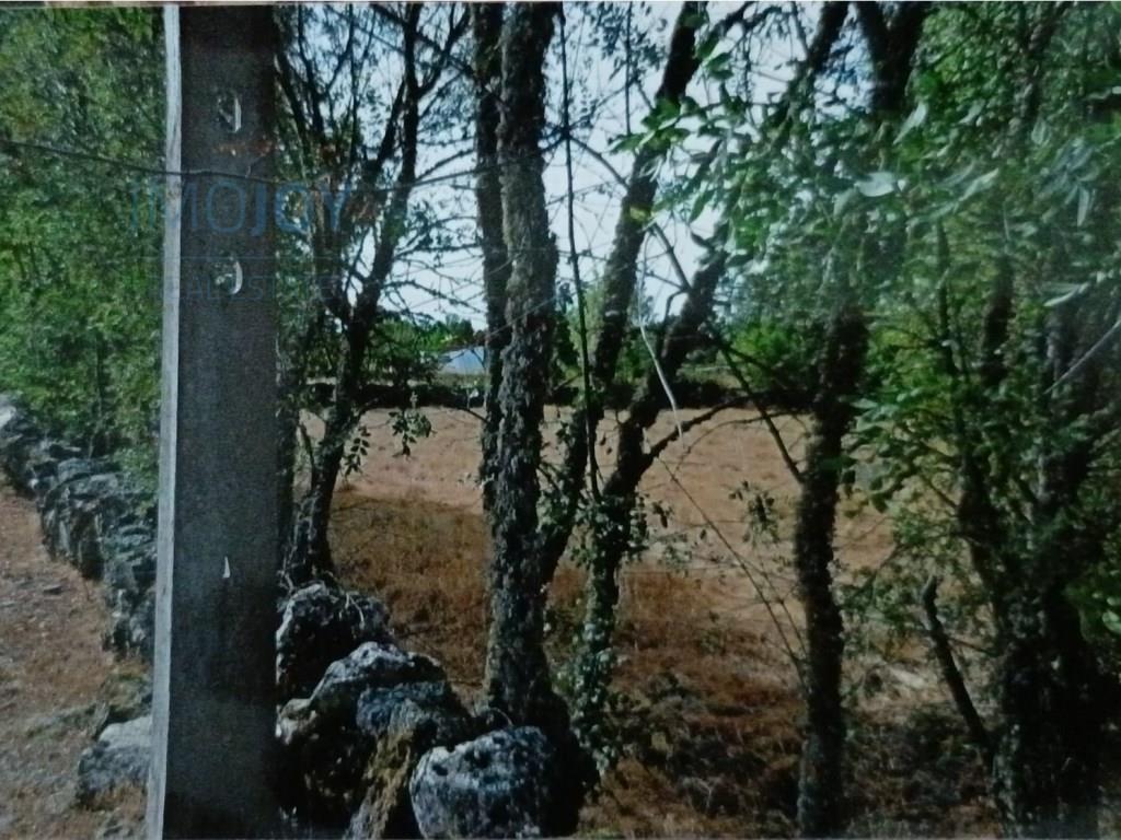 Rustiek land te koop Ade, Guarda