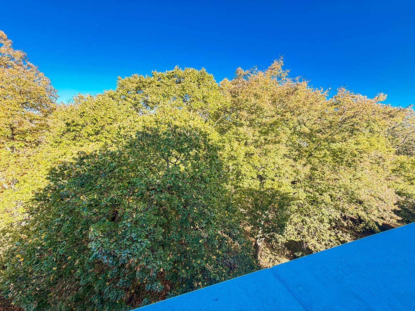 Maison à vendre, 125m², Toulouse