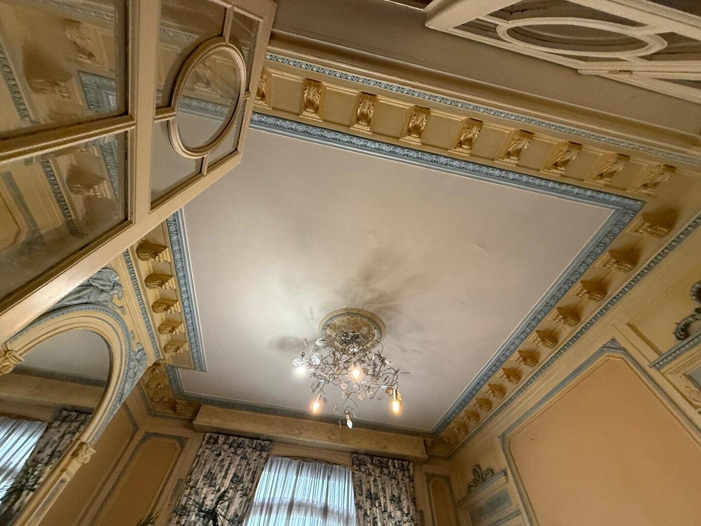 Maison à vendre, 337m², Lille