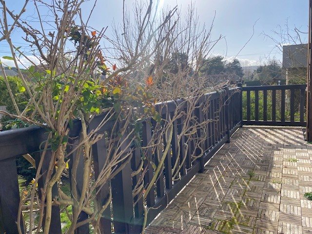 Maison à vendre, 184m², Deauville