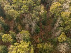 Development Land in Beaufort, South Carolina