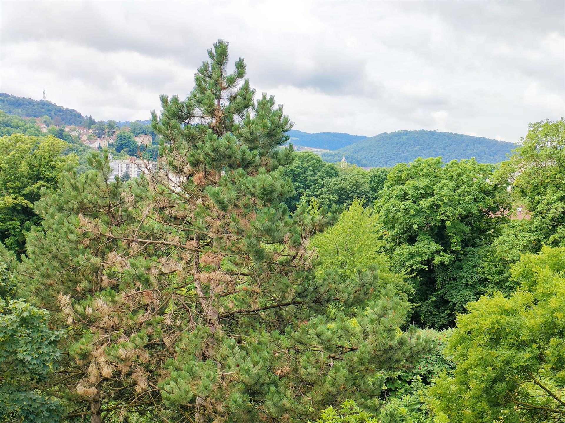 Appartement à vendre, 78m², Besançon