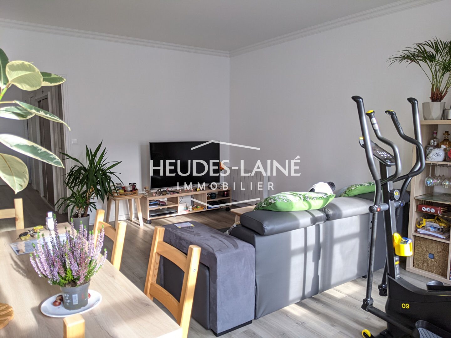 Appartement à louer, 76m², Avranches