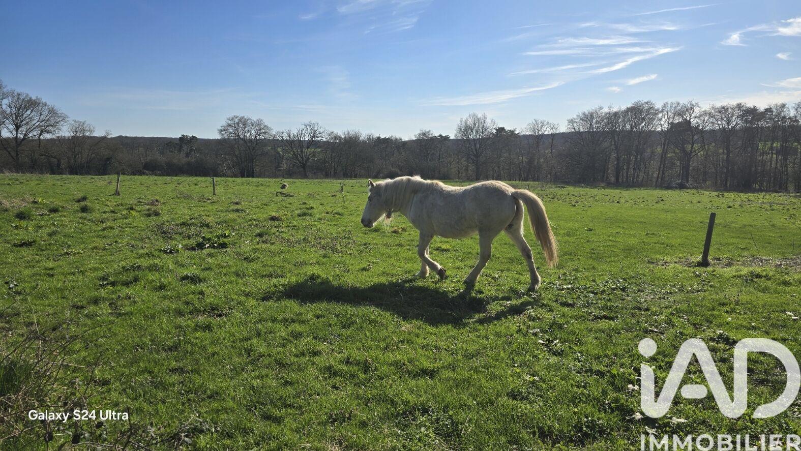 Maison à vendre, 236m², Isle-et-Bardais